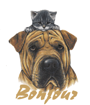 bonjour-bonne journ�e